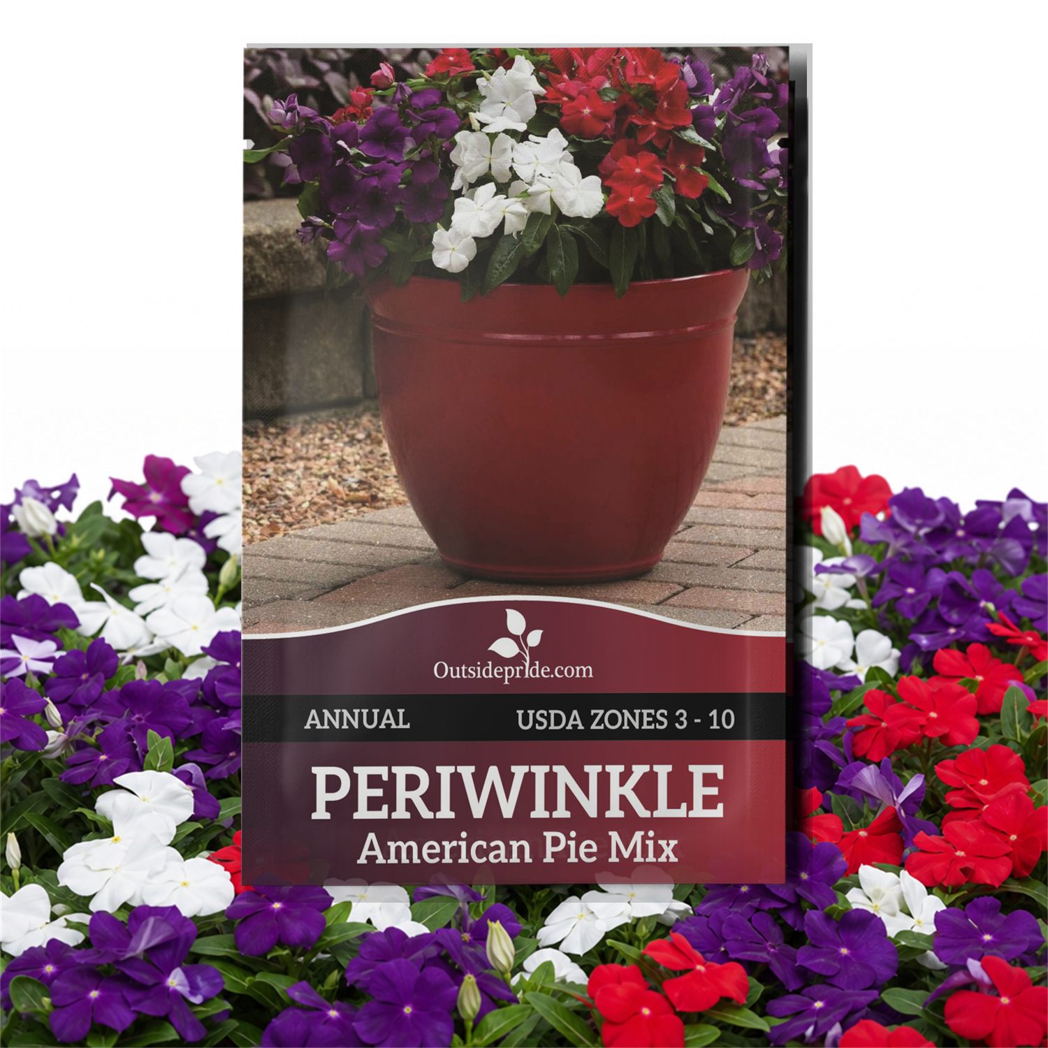 Vinca American Pie Ground Cover Seed Packet