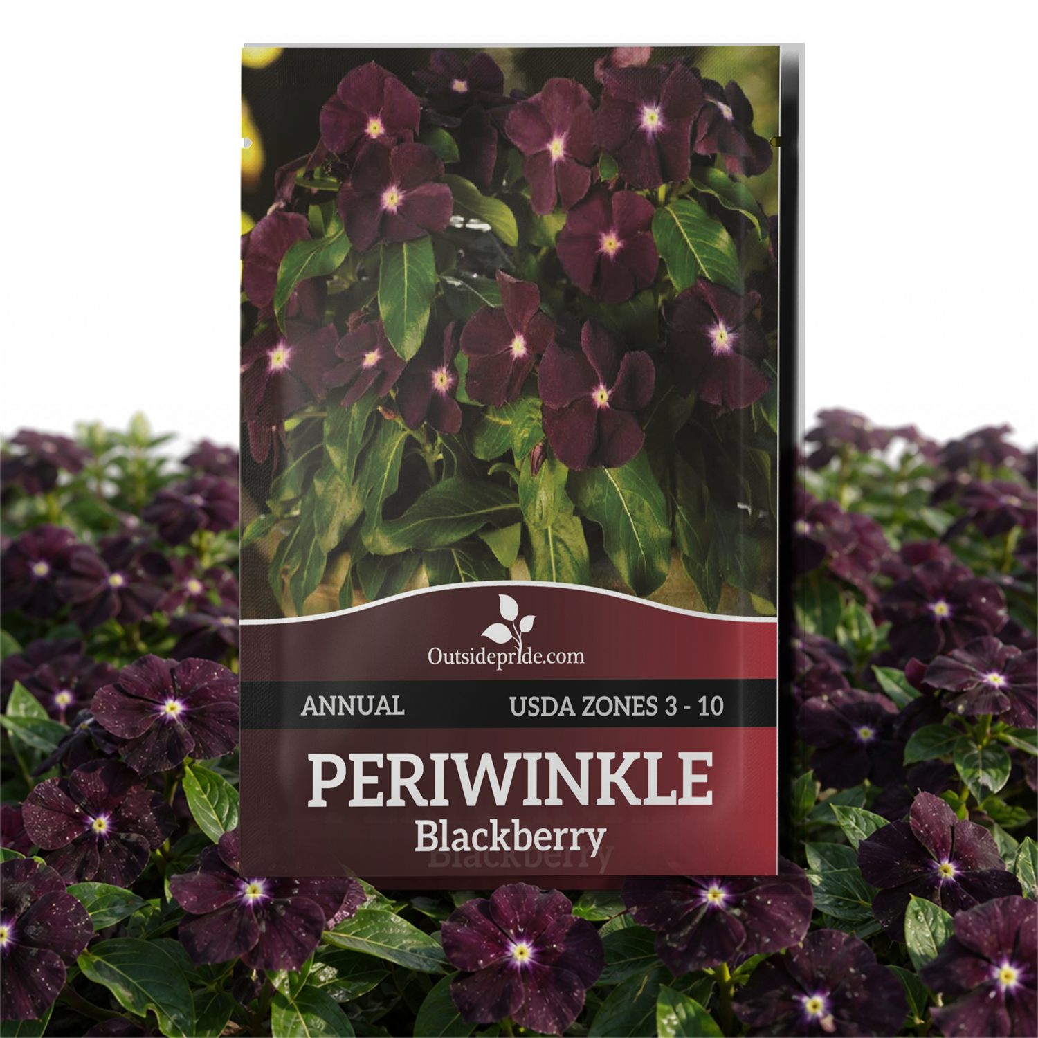 Periwinkle Jams 'N Jellies Blackberry Flowers