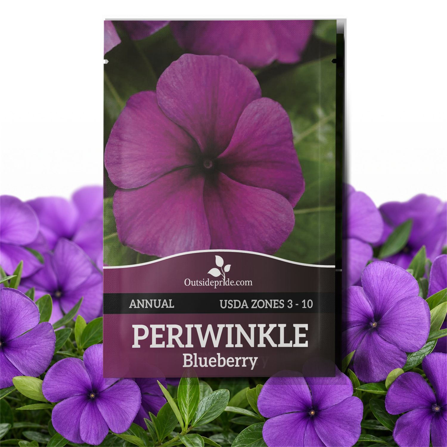 Vinca Tattoo Blueberry Seed Packet