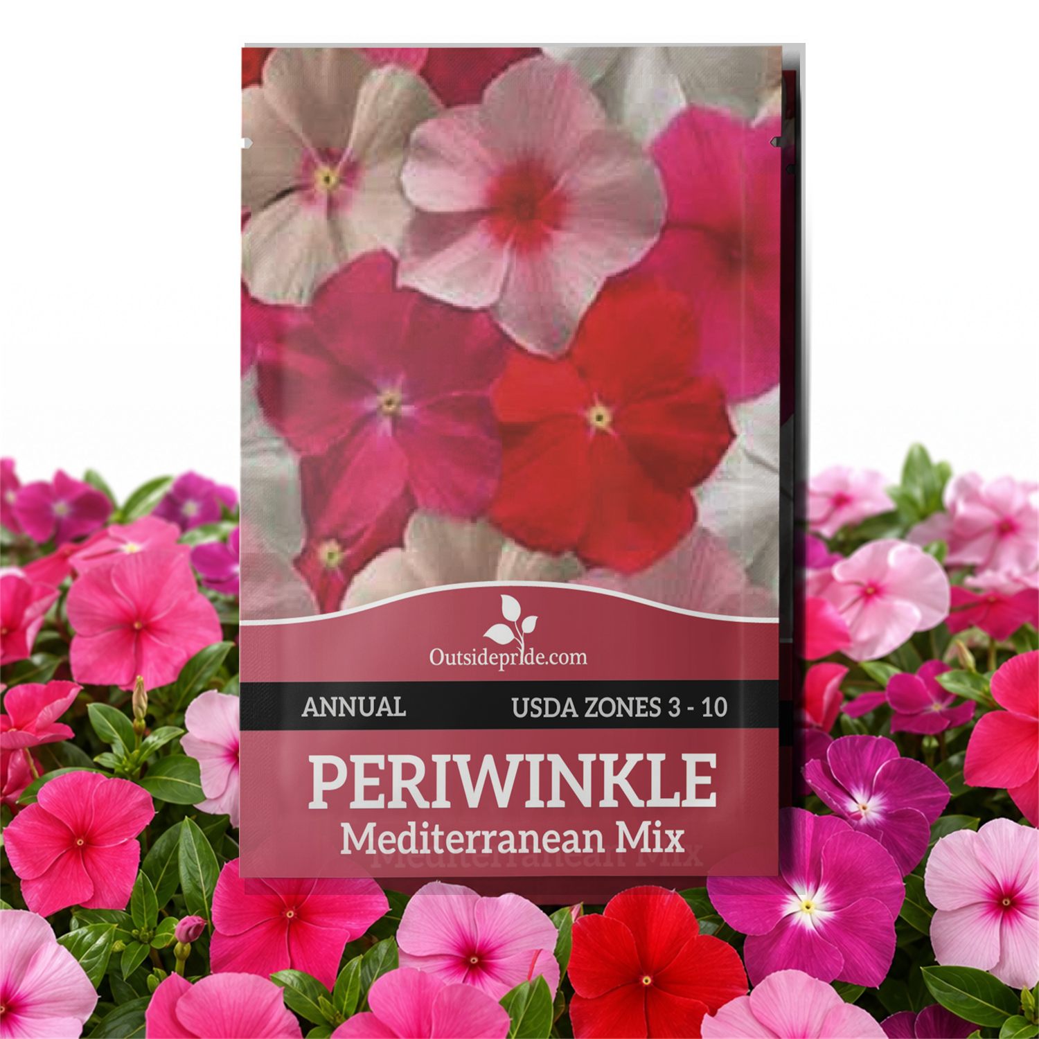 Periwinkle Mediterranean Seed Packet