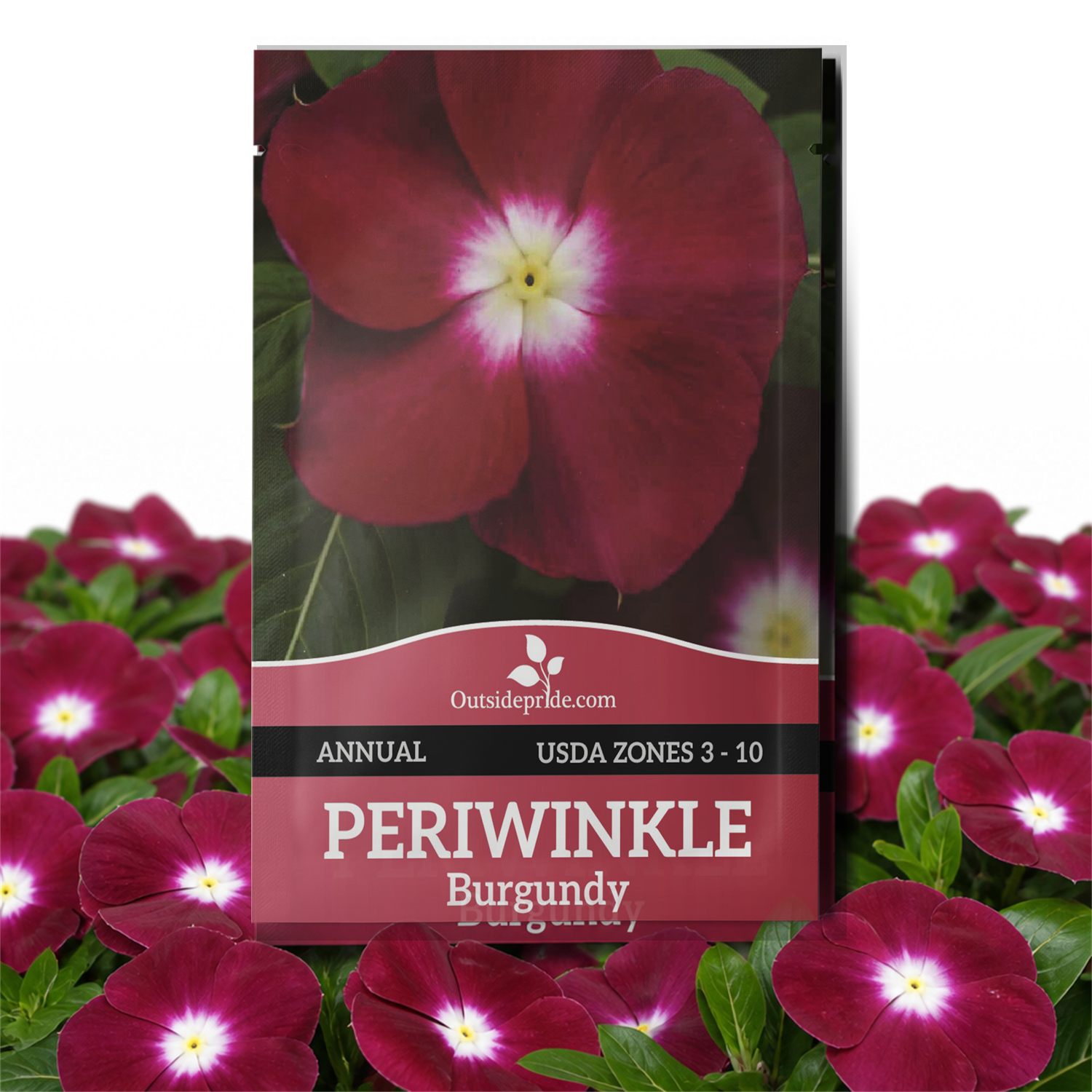 Periwinkle Burgundy Seed Packets