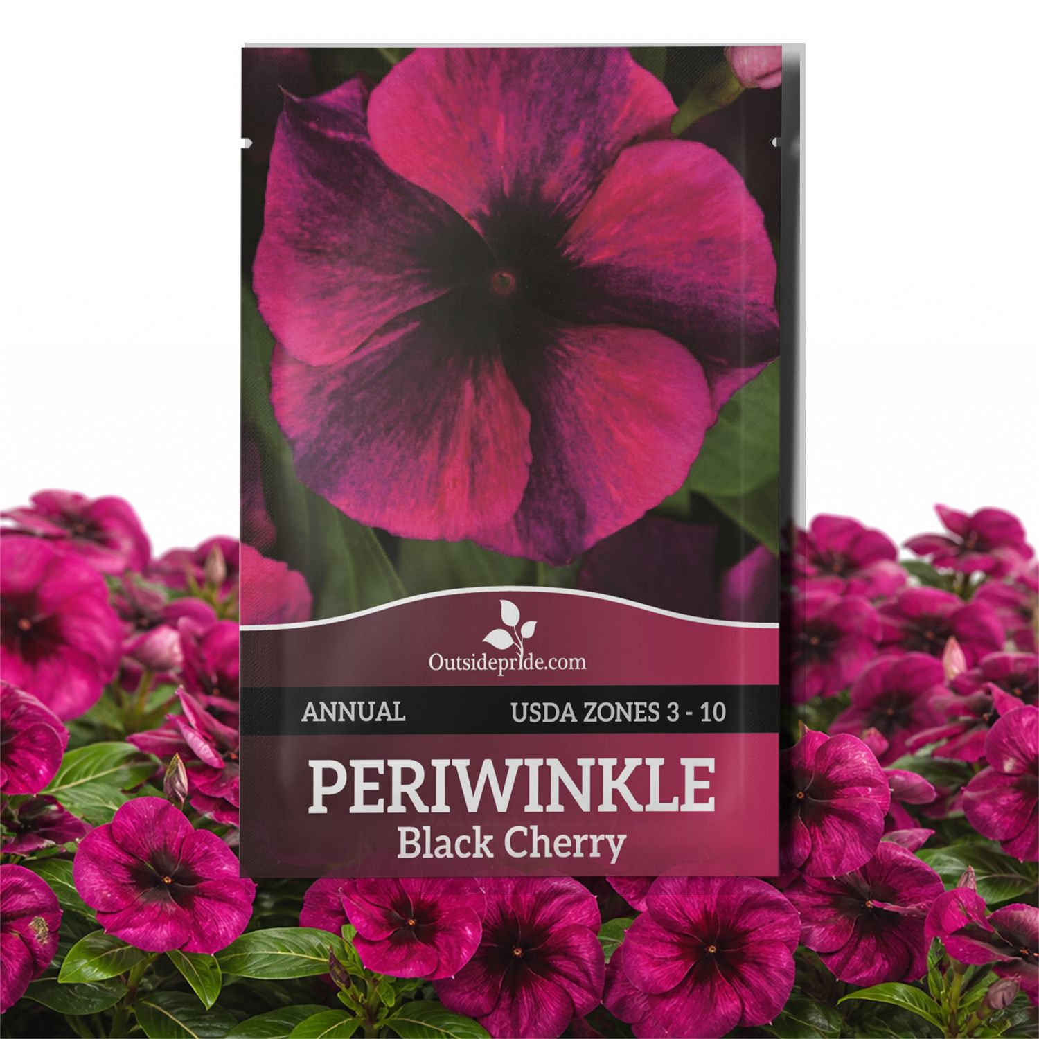 Vinca Black Cherry Seed Packet