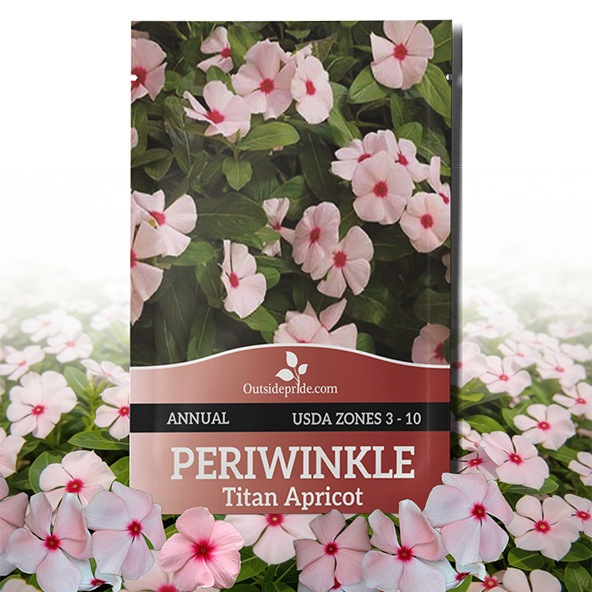 Vinca Titan Apricot Seed Packet