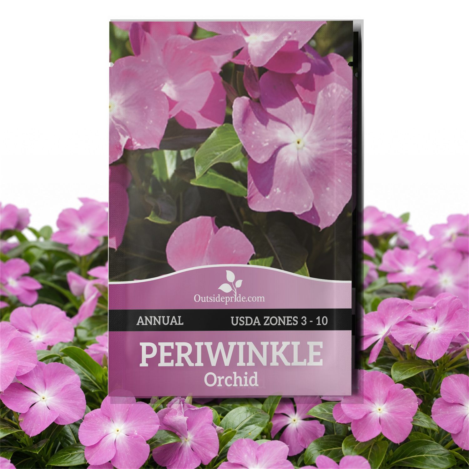 Vinca Orchid Eye Seed Packet