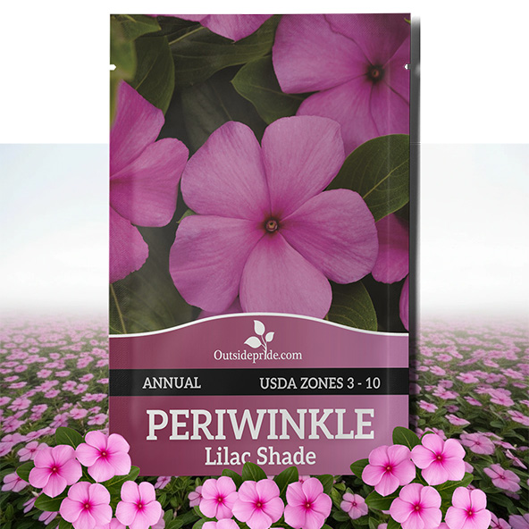 Vinca Titan Lilac Groundcover Seed Packet