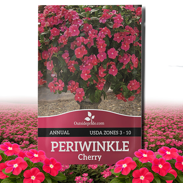 Vinca Cora Cascade Cherry Seed Packet