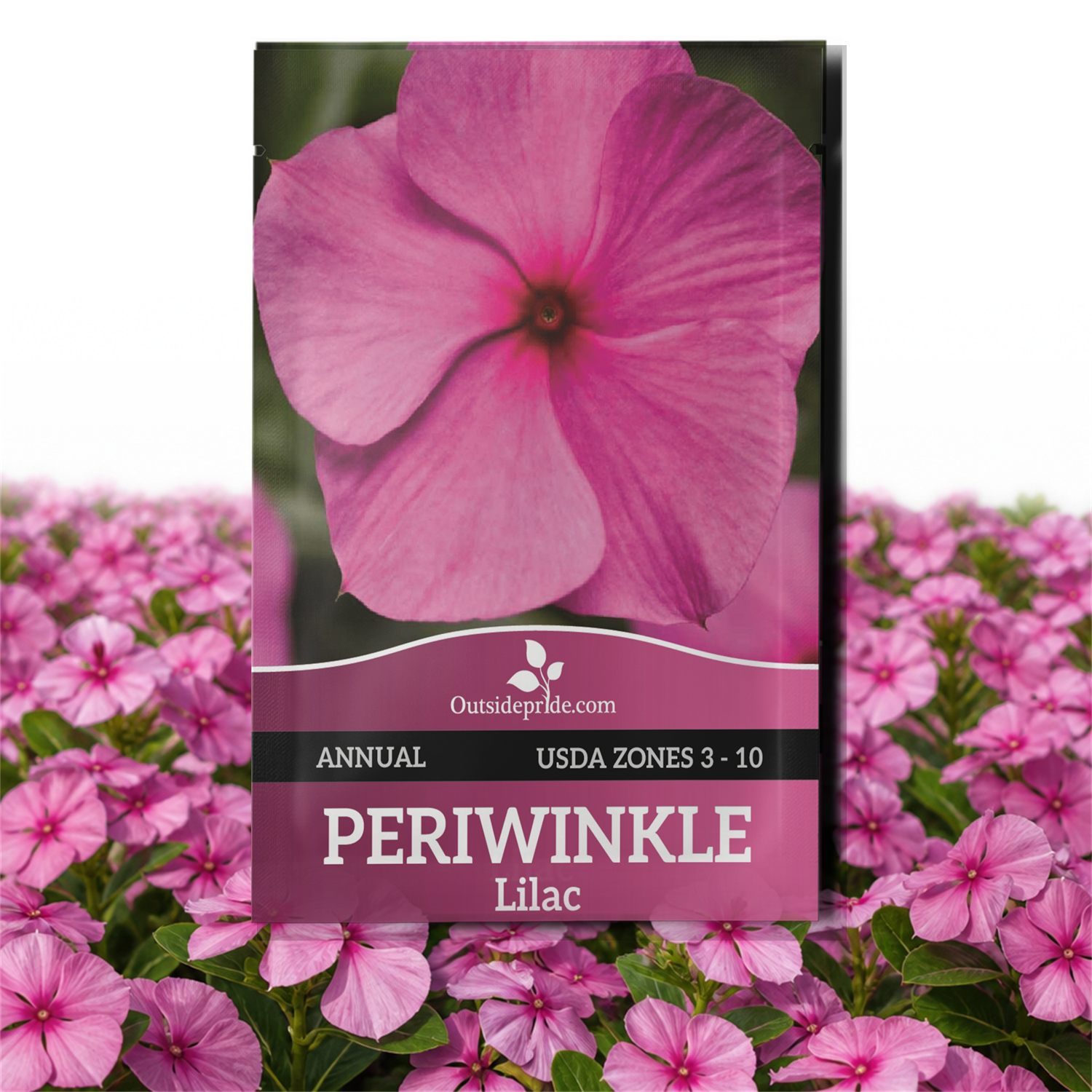 Vinca Cora Cascade Lilac Seed Packet