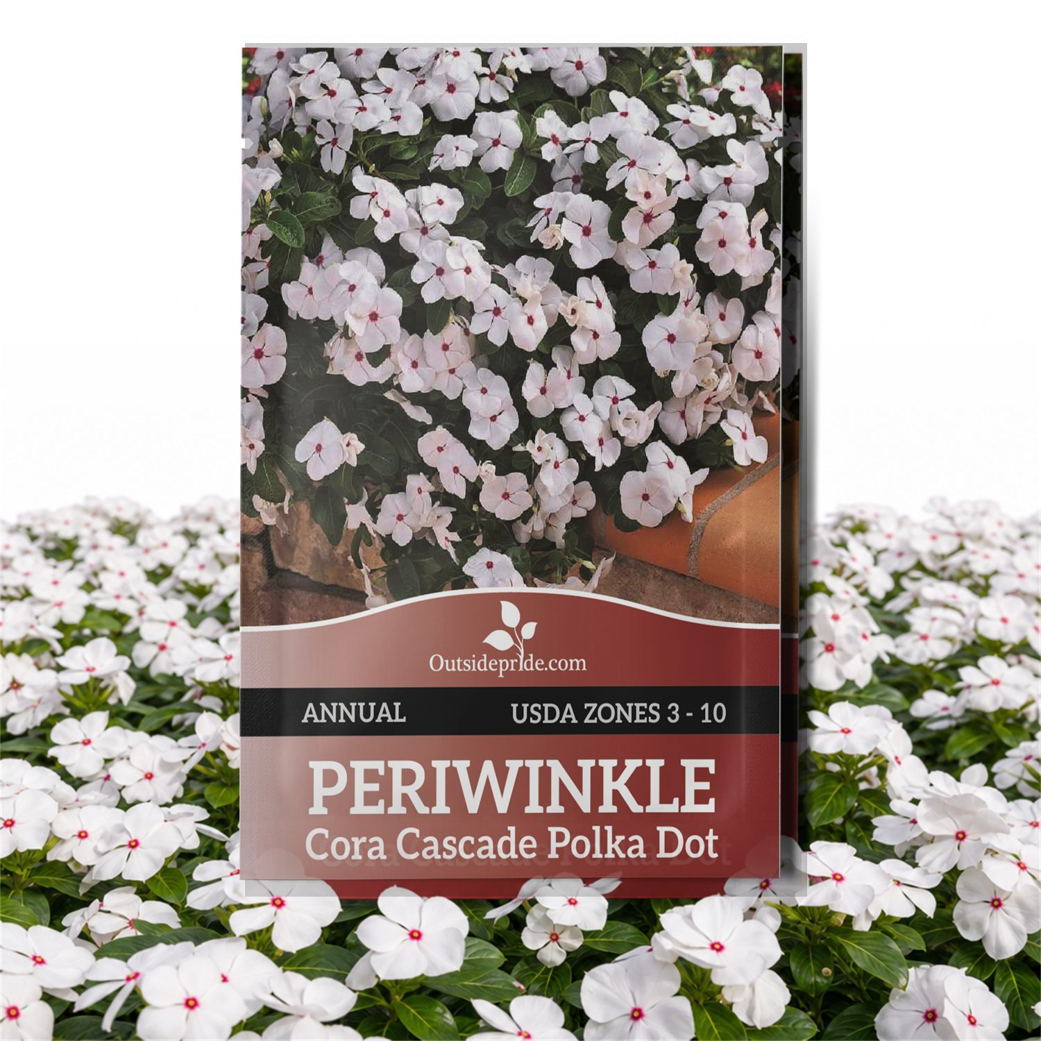 Vinca Cora Cascade Polka Dot Seed Packet