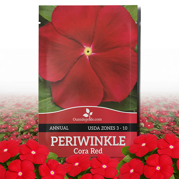 Vinca Cora Red Seed Packets