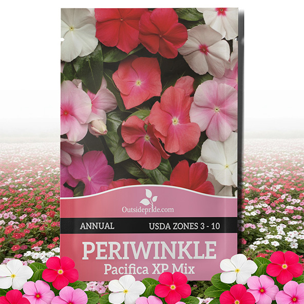 Perwinkle Pacifica XP Seed Packet