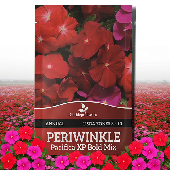 Vinca Pacifica XP Mix Bold Seed Packet