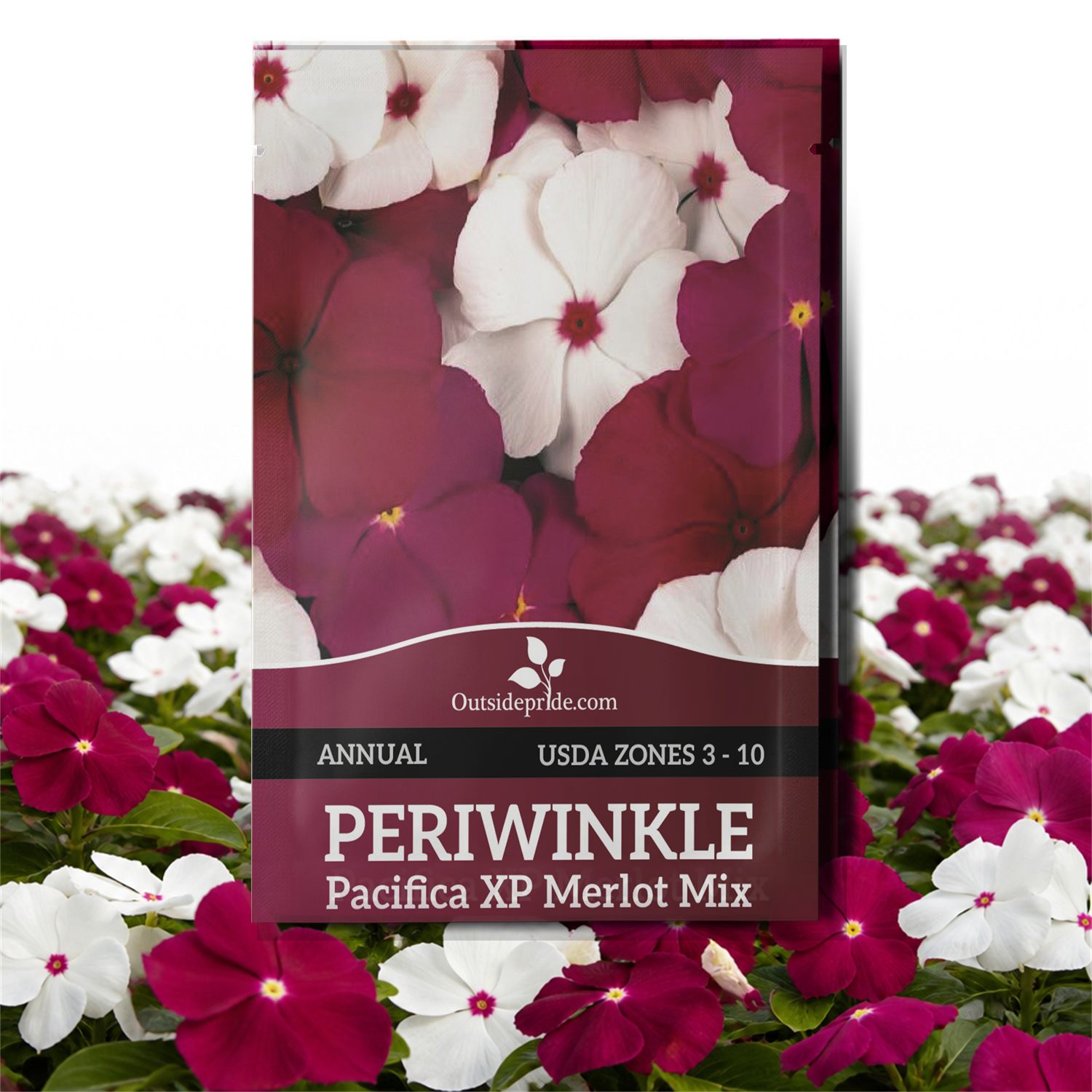 Periwinkle Pacifica XP Mix Merlot Seed Packet