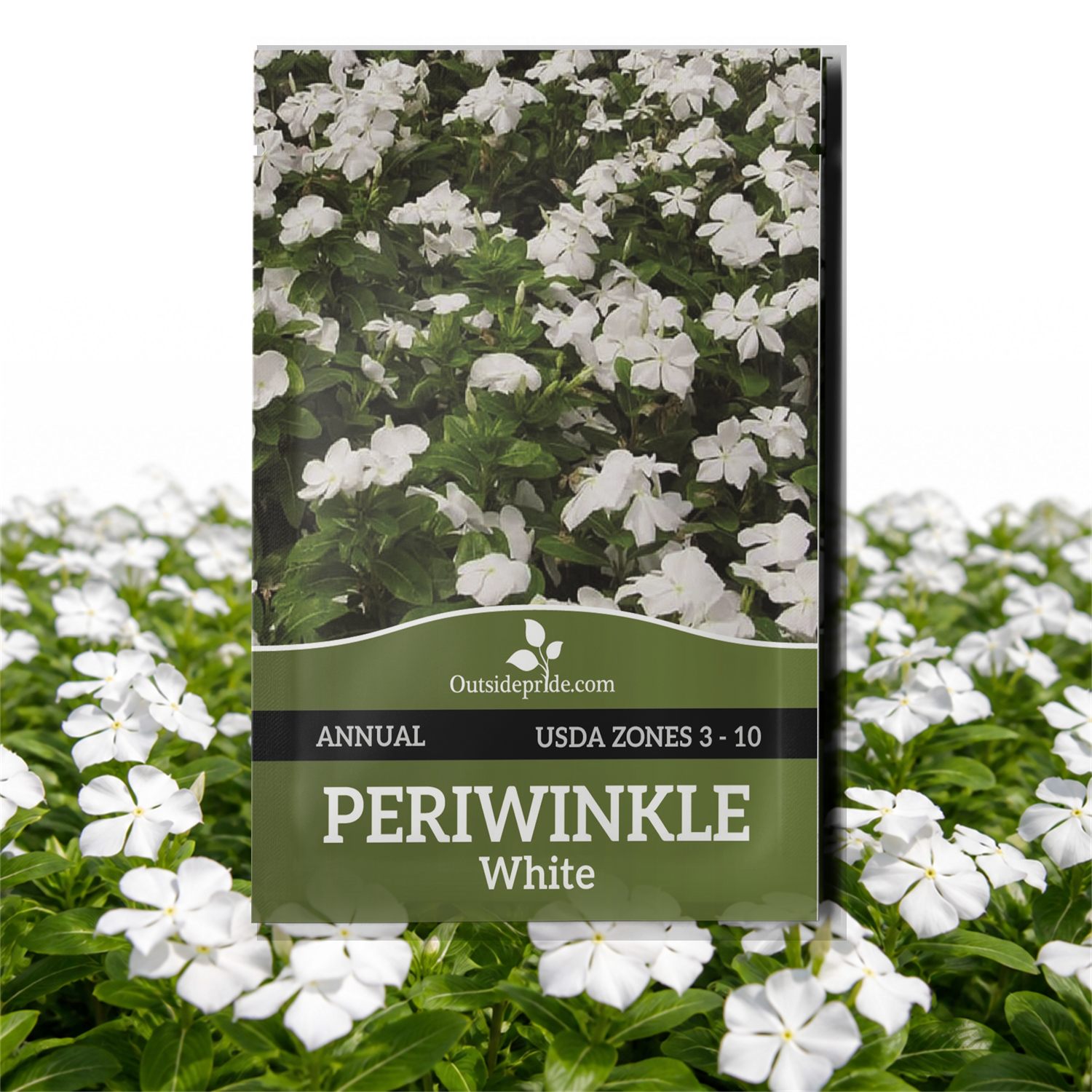 Periwinkle White Seed Packet