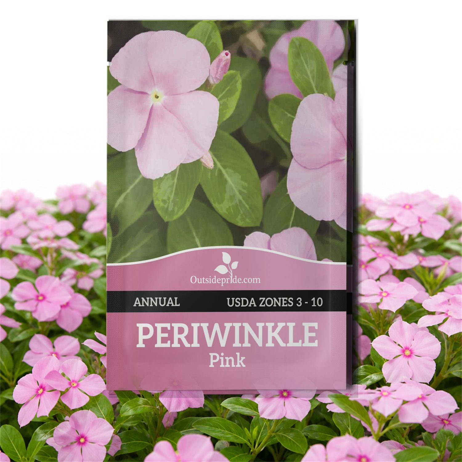 Vinca Rosea Pink Dwarf Seed Packet