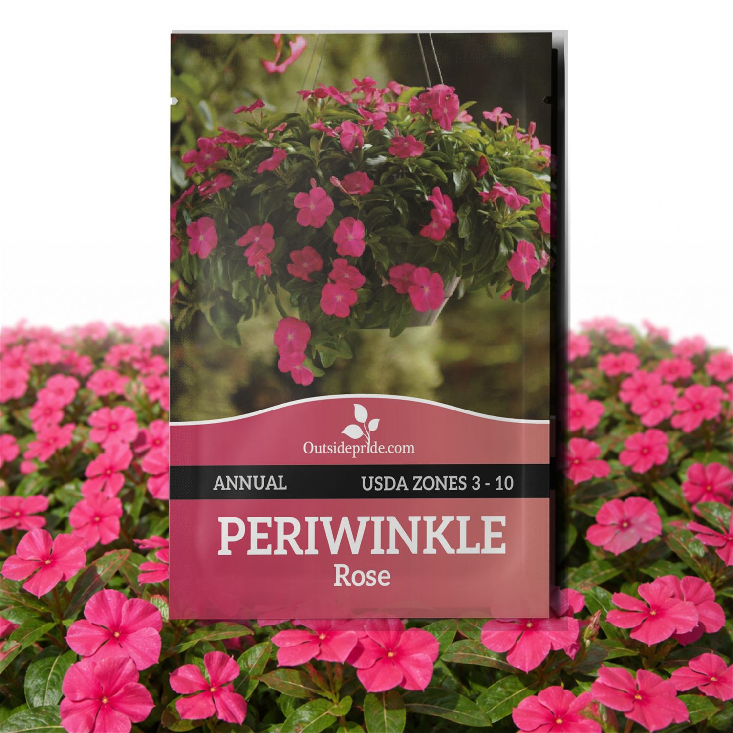 Vinca Rose Ground Cover Seed Packet