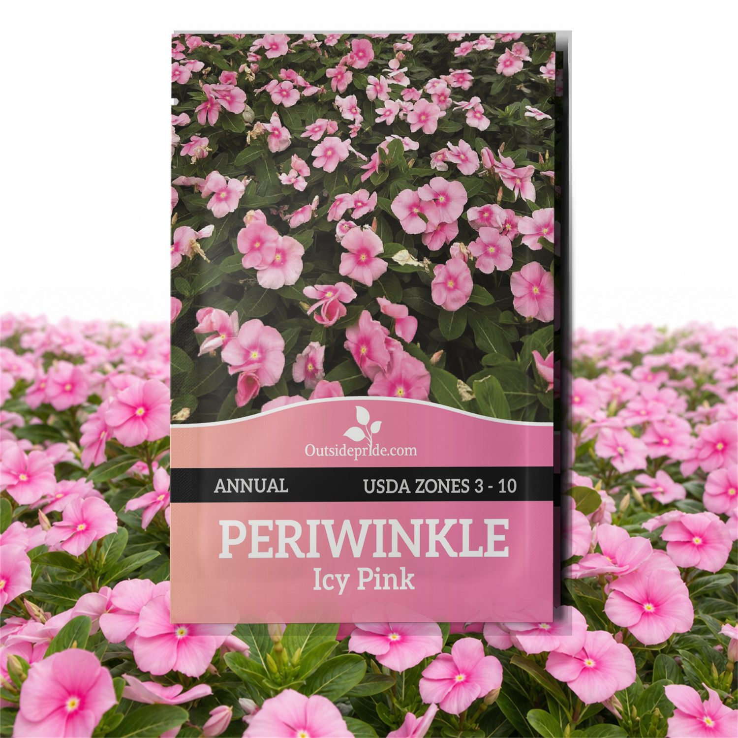 Periwinkle Vitalia Icy Pink Seed Packet