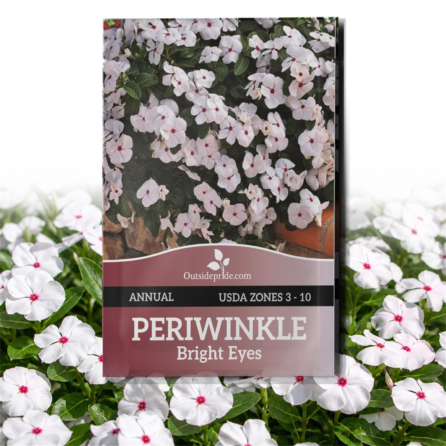 Periwinkle Bright Eyes Seed Packet