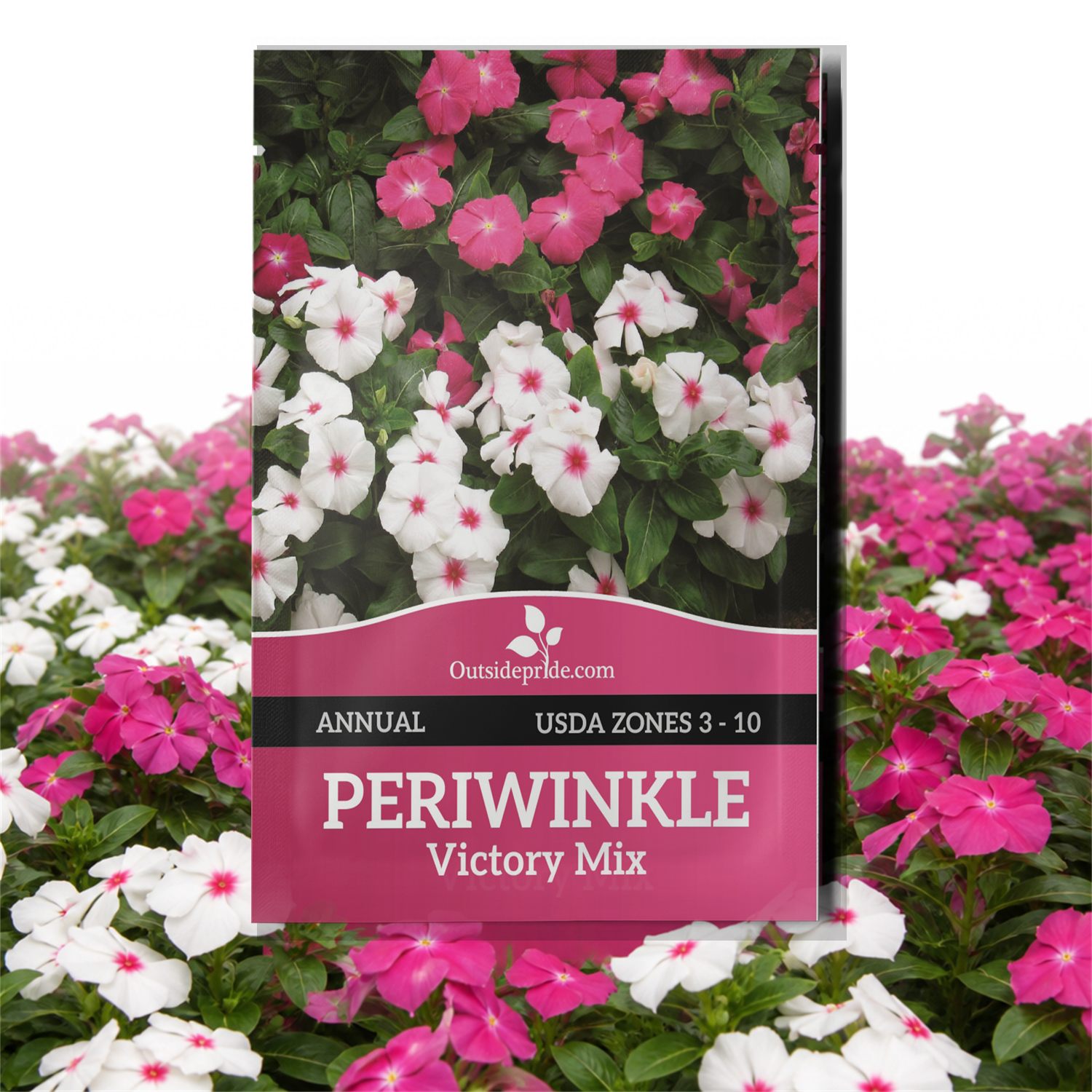 Vinca Victory Seed Packet Mix