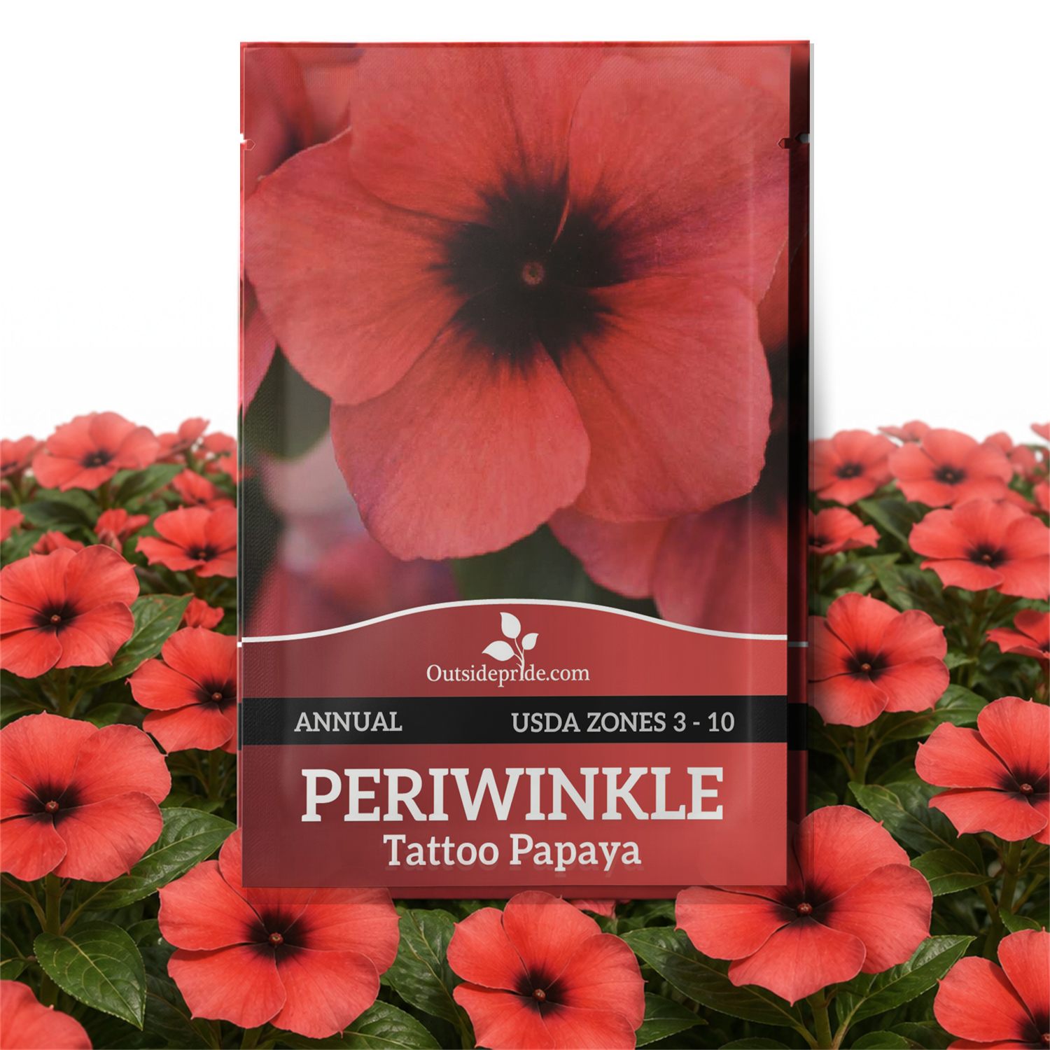 Vinca Papaya Ground Cover Seed Packet
