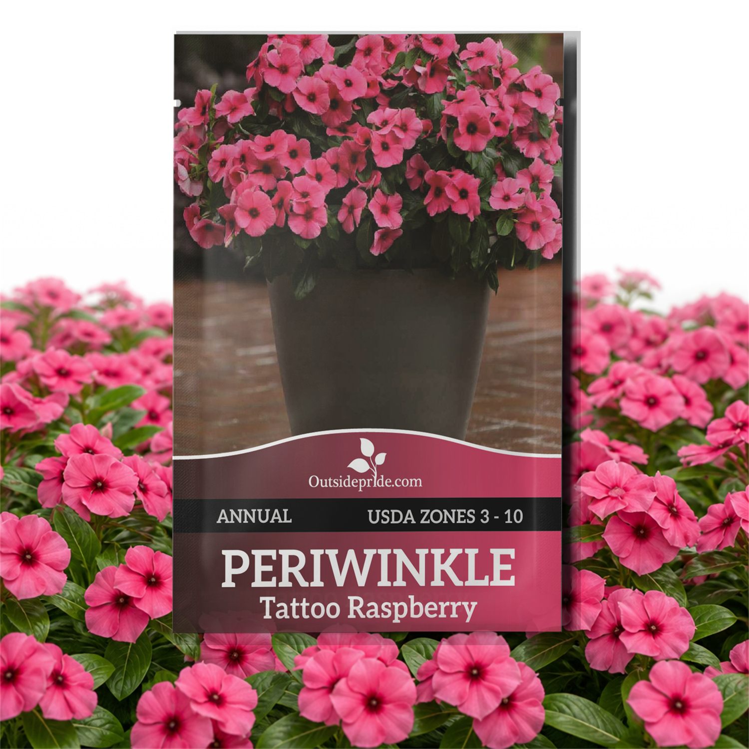 Vinca Raspberry Ground Cover Seed Packet