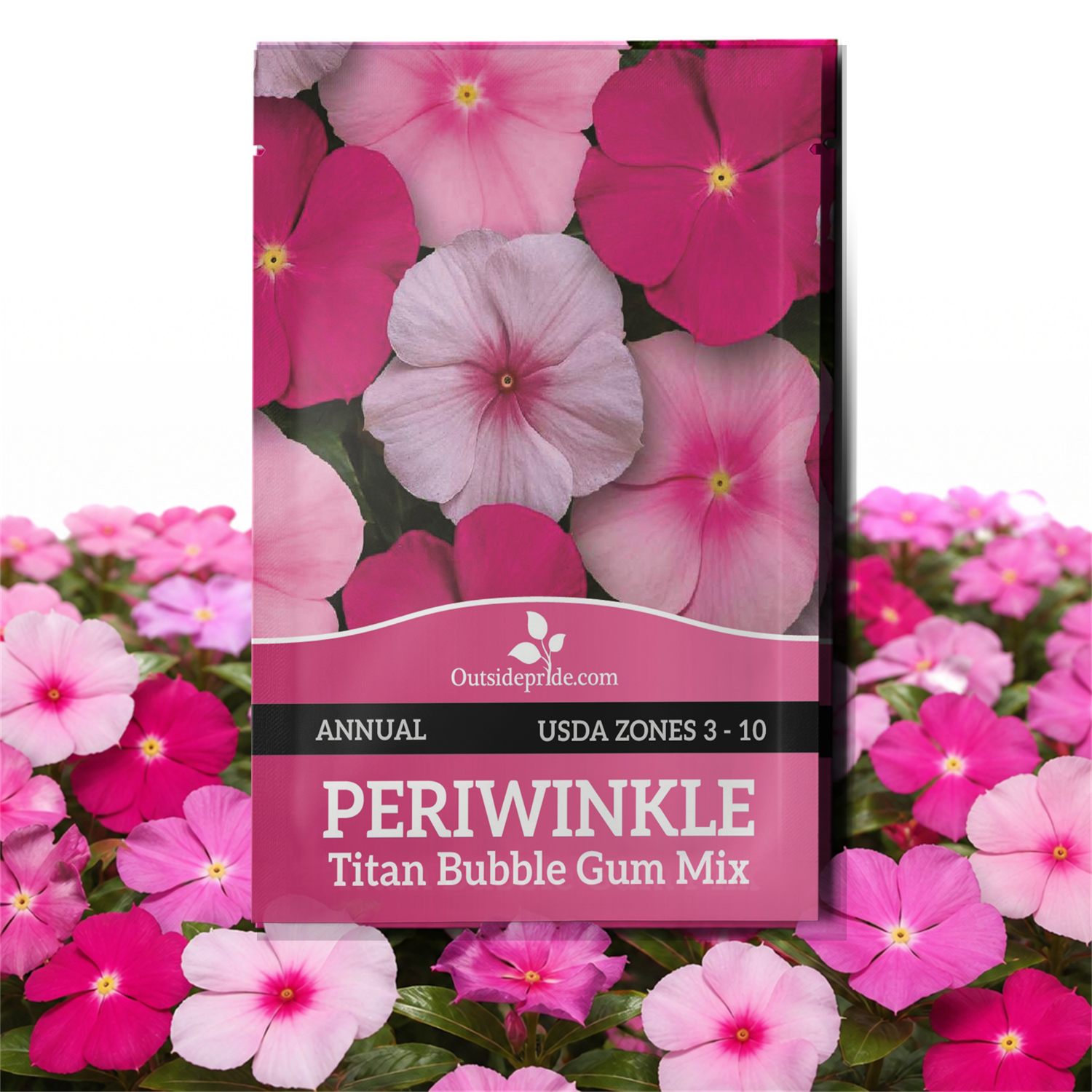Vinca Titan Seed Bubble Gum Seed Packet