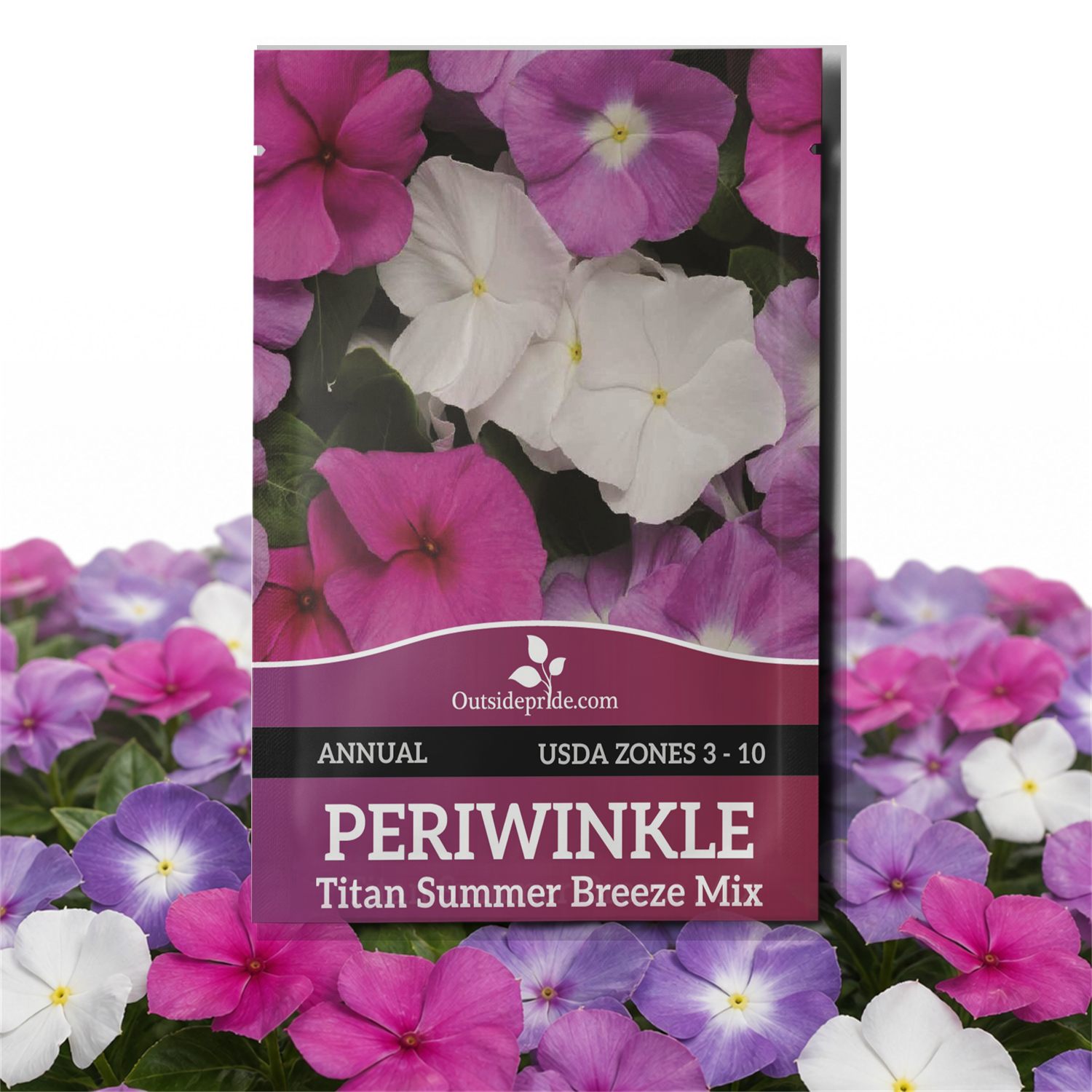 Vinca Titan Seed Summer Breeze Seed Packet