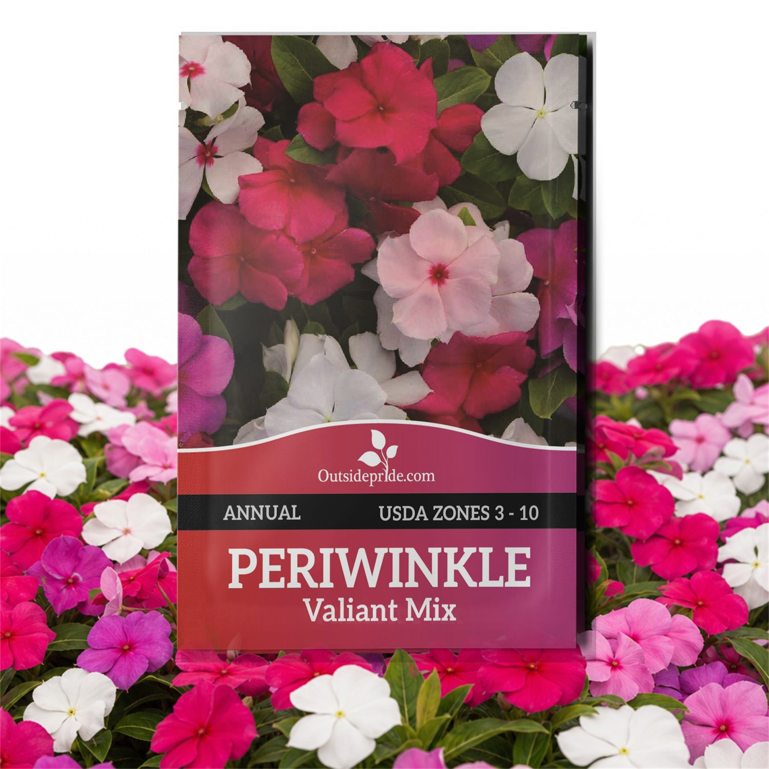 Vinca Valiant Seed Packet Mix