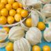 Cape Gooseberries On Plate