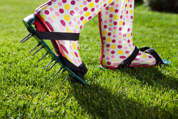 Lawn Aerator for Sale