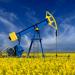 Brassica Rape Field With Oil Rig