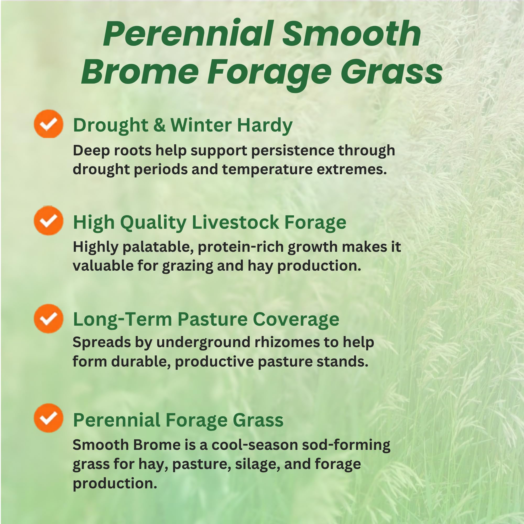 Smooth Brome Forage