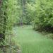 Turkey Food Plot Seed