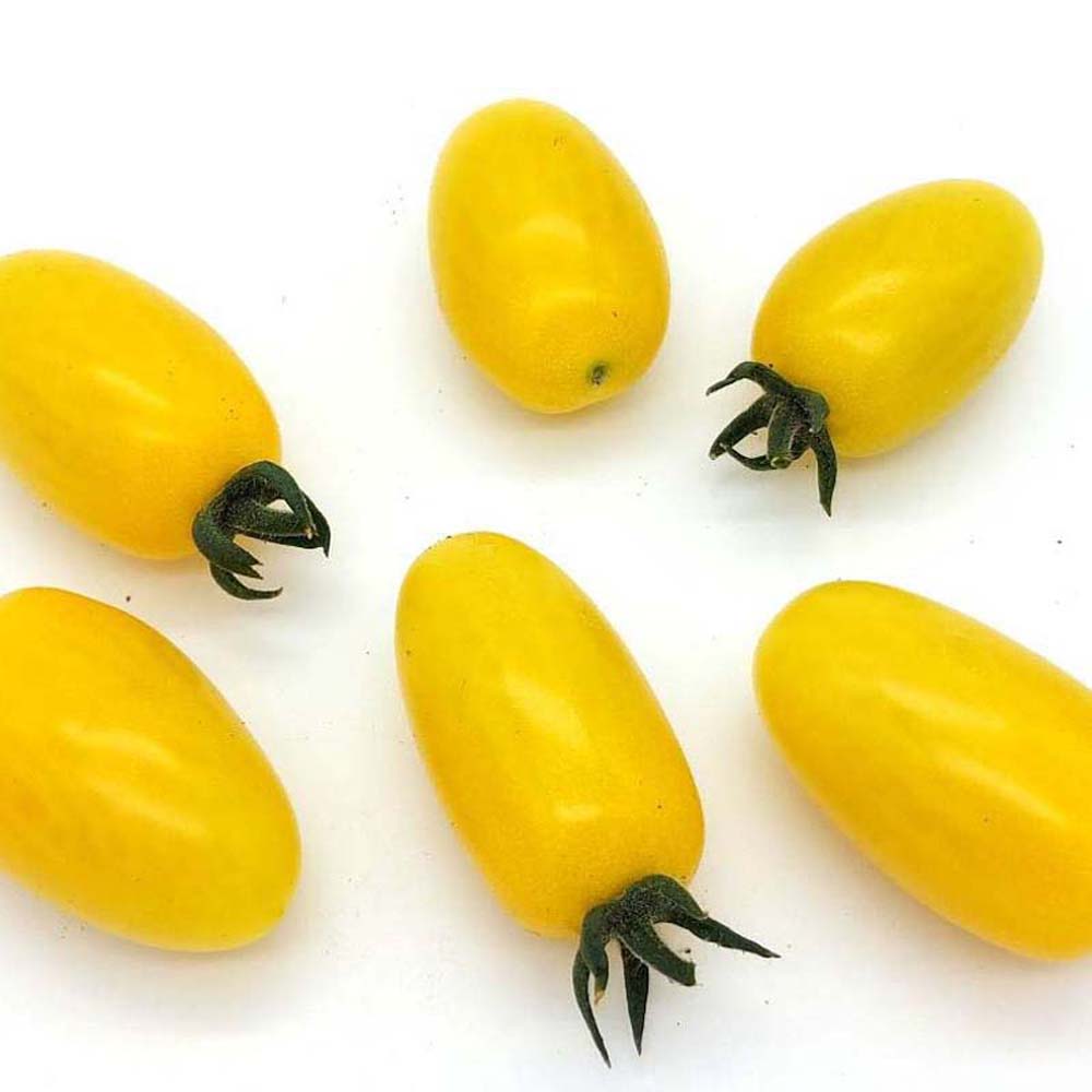 Snack Yellow Cherry Tomato Seeds