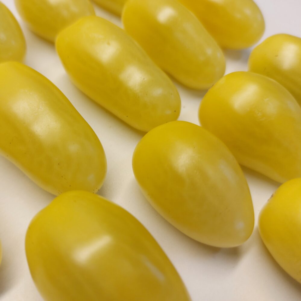 Snack Yellow Tomato Seeds