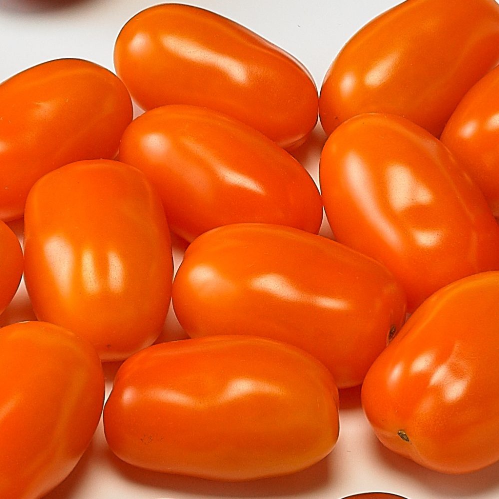 Snack San Marzano Tomato Seeds