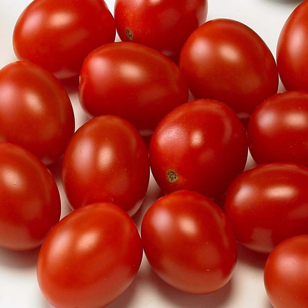 Snack Red Tomato Seeds