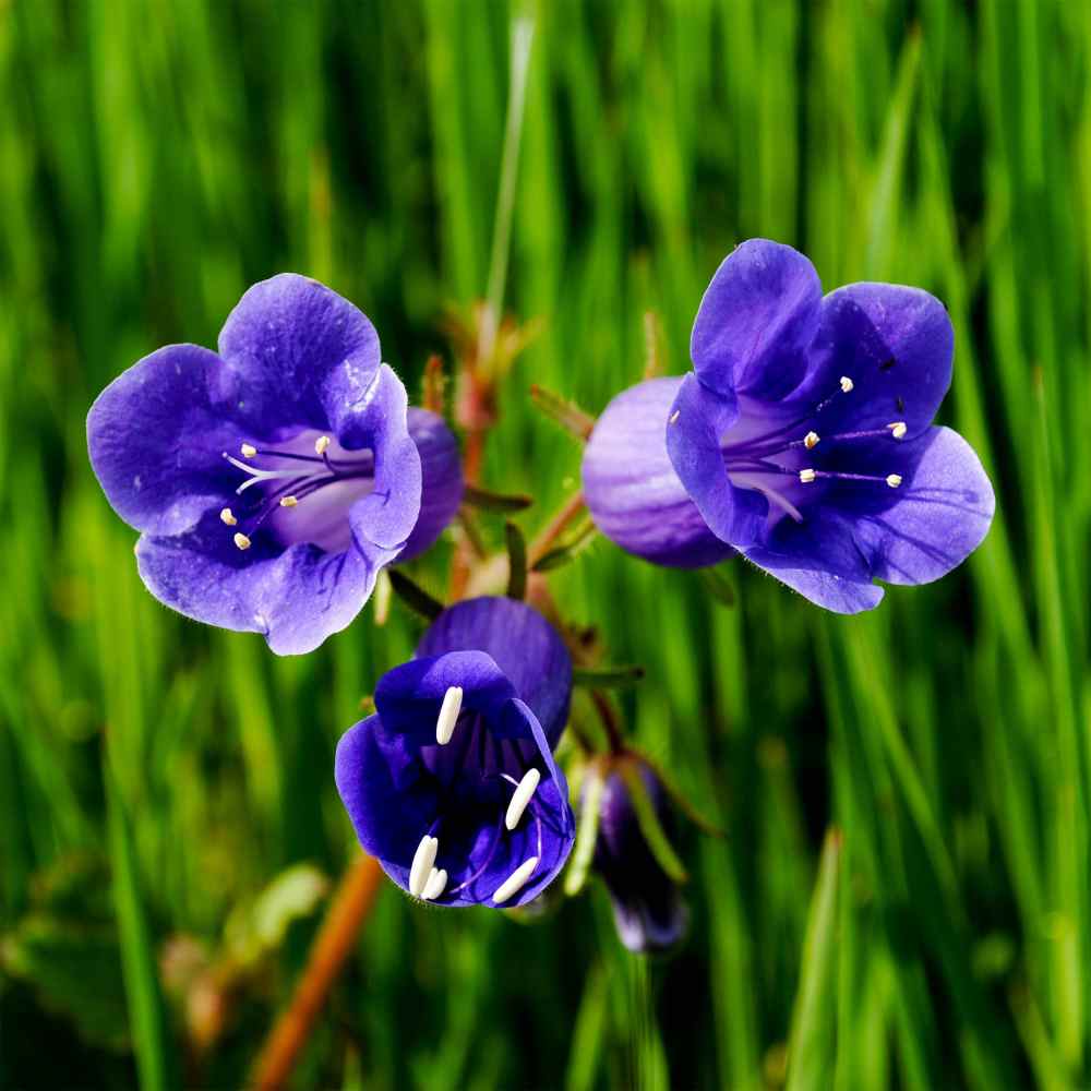My Image 63