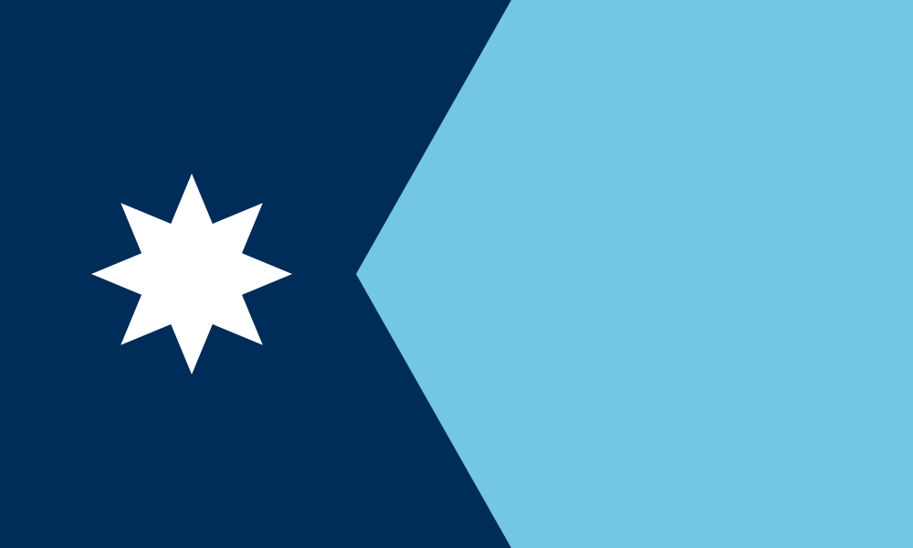 Minnesota state flag
