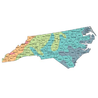 Seme di erba del North Carolina Seed