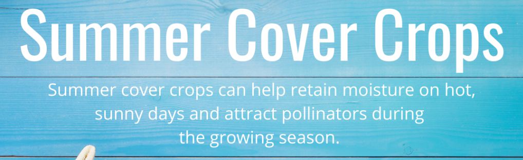 cover crops for spring